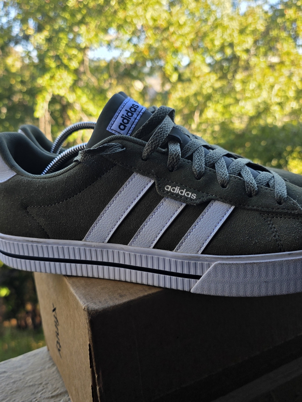 adidas Men's Suede Court Shoes in Olive Green